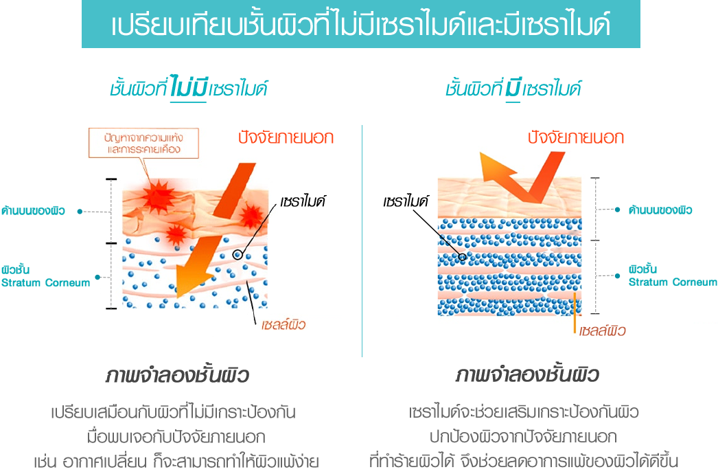 ครีมบำรุงหน้า ครีมสำหรับผิวแพ้ง่าย